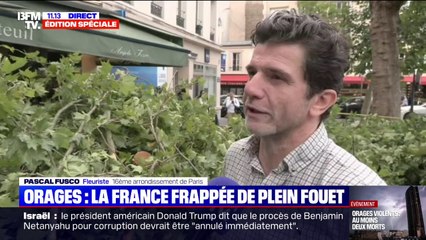 Orages: "Tout s'est écroulé et est tombé sur la devanture du magasin", témoigne ce fleuriste parisien