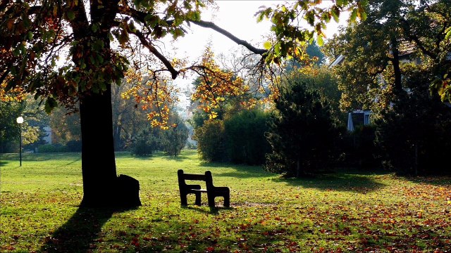 VICKY LEANDROS — Après toi | (Die Lieder) | (Vicky Leandros ‎- Singt Mikis Theodorakis) | (2003) | Collector's Edition