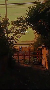 میں نے اپنا معاملہ اللہ کے حوالے کر دیا 💔 | دل کو سکون دینے والی باتیں