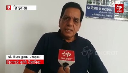 बारिश के मौसम में स्वस्थ रहना है तो इन सब्जियों से करें परहेज