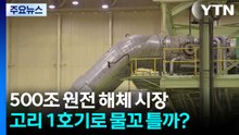 500조 원전 해체 시장...고리 1호기로 물꼬 틀까? / YTN