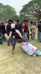 This Is Like A Bugs Bunny Cartoon