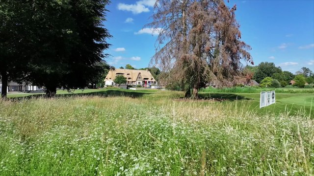 Le Vaudreuil fin prêt ! - Golf - Challenge tour