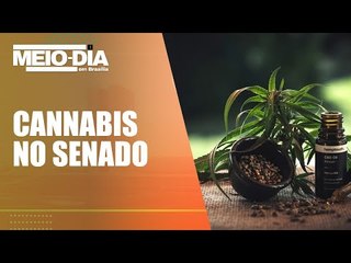 Senado promove audiência para debater uso medicinal da cannabis