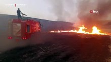 Diyarbakır'daki anız ve orman yangınları söndürüldü