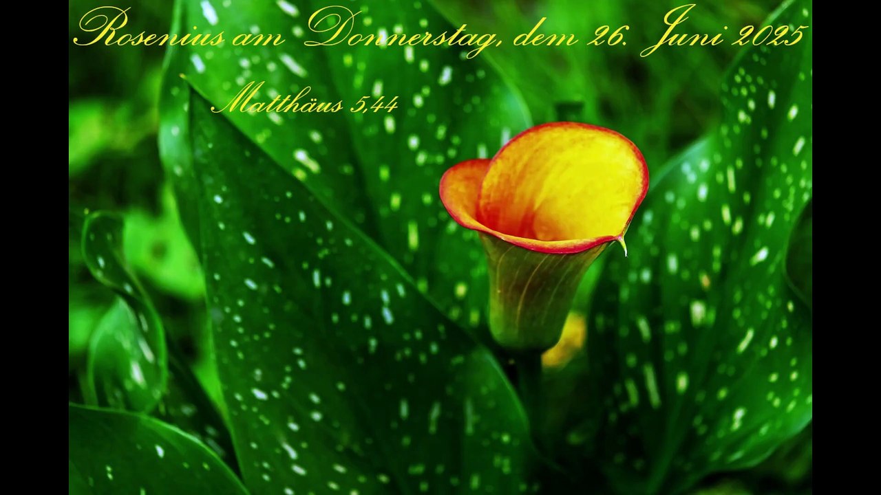 Rosenius am Donnerstag, dem 26. Juni 2025, zu Matthäus 5,44