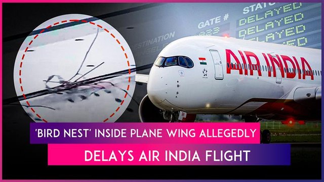 Air India Flight AI2354 Delayed Over 3 Hours Allegedly After ‘Bird Nest’ Found Inside Aircraft Wing