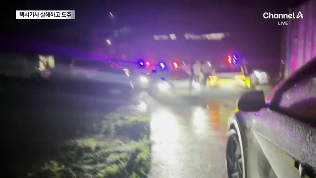 택시기사 흉기 살해…행인 치고 도주