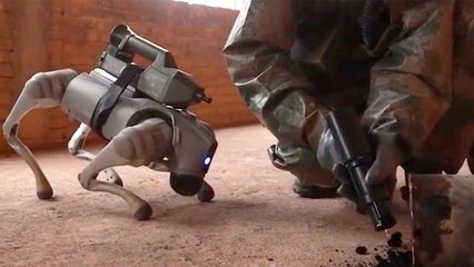 Video: Chinese Army Robot Dogs Take Part in Radiation Contamination Drill