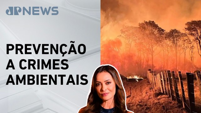 PF lança Operação Incêndios 2025 para proteger Amazônia e Pantanal; Patrícia Costa comenta