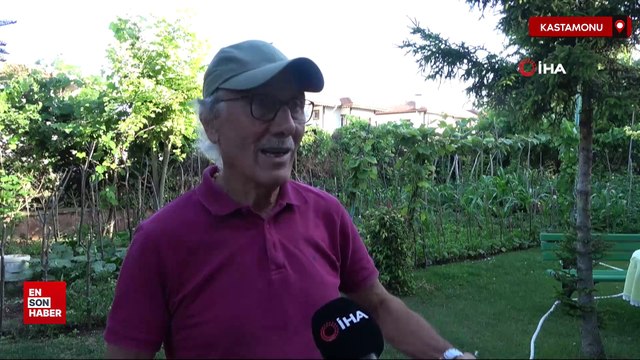 Kastamonu’da 56 arı kovanı zehirlendi, 1 milyona yakın arı telef oldu