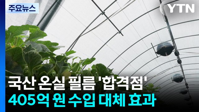 [녹색] 405억 수입 대체 효과...국산 온실 필름, 농가에 '합격점' / YTN