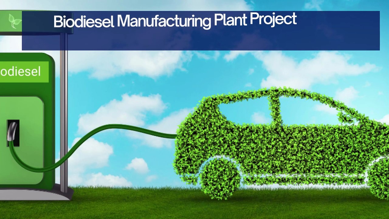 Biodiesel Manufacturing Plant Project Report - video Dailymotion