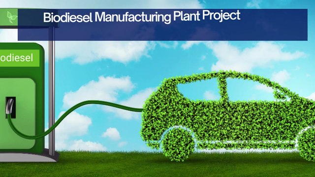 Biodiesel Manufacturing Plant Project Report