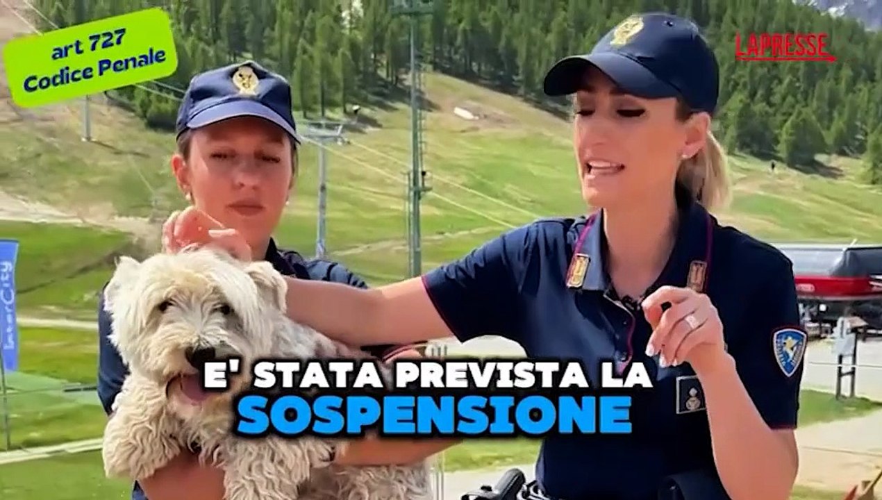 Estate 2025: lo spot della Polizia contro l'abbandono degli animali