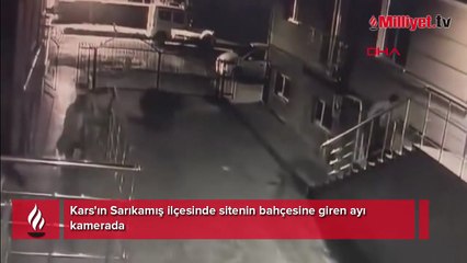 Sitenin bahçesinde büyük panik: 'Ayı geliyor' dedi ve kaçmaya başladık