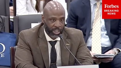 'I'm Going To Be Simple About It—It's Really Stupid': GOP's Witness Rips 'Ethno-Mathematics'
