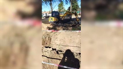 Trasladan el emblemático quebracho blanco de casi 300 años