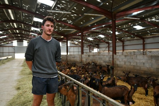 Cet éleveur a perdu huit chèvres à cause du violent orage de grêle en Dordogne