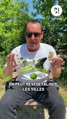 Les SFN : travailler AVEC la nature pour faire face aux défis sociétaux !