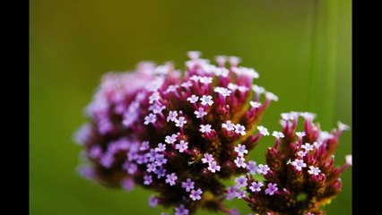 Bugonia Teaser Trailer 🎬 – Verschwörung oder Wahrheit?