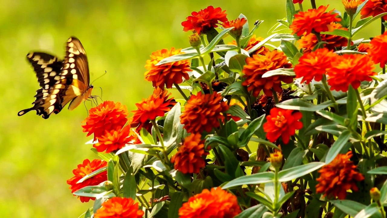 WHAT HAPPENS TO OUR CONSCIOUSNESS AFTER DEATH ?