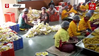 आषाढी वारीला आलेल्या भक्ताकरिता 13 लाख 50 हजार बुंदीच्या लाडूचं होणार वाटप, पाहा व्हिडिओ