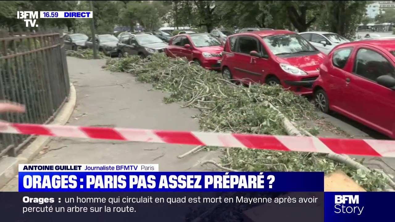 Orages: à Paris, après les intempéries, les agents municipaux s'activent pour enlever les arbres qui ont chuté