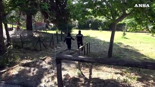 Campobasso, rapina violenta in centro: arrestata la banda di aggressori