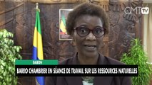 [#Reportage] Gabon : Barro Chambrier en séance de travail sur les ressources naturelles