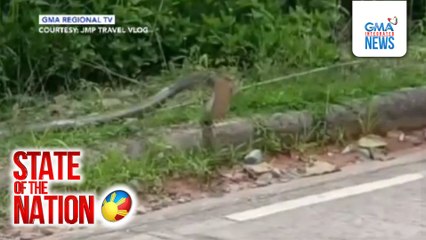 Rider, may nakasalubong na cobra | SONA