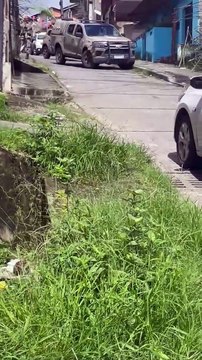 Dois homens morrem após operação da Polícia Militar na Palestina; saiba detalhes