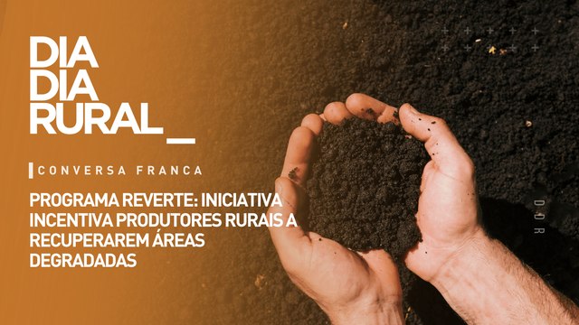 Programa Reverte: iniciativa incentiva produtores rurais a recuperarem áreas degradadas