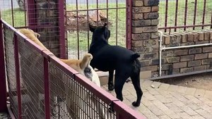 No intruders allowed