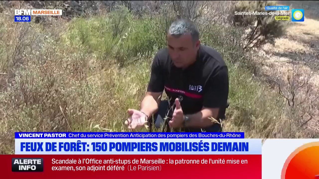 Feux de forêt : 150 sapeurs-pompiers mobilisés vendredi