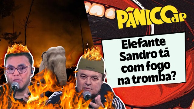 UÉ! CADÊ OS ARTISTAS FAZENDO VÍDEO DAS QUEIMADAS NA AMAZÔNIA? DATENA E MARINA SILVA QUE O DIGAM