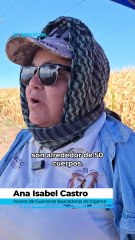 Hallan docena de osamentas en Valle del Yaqui