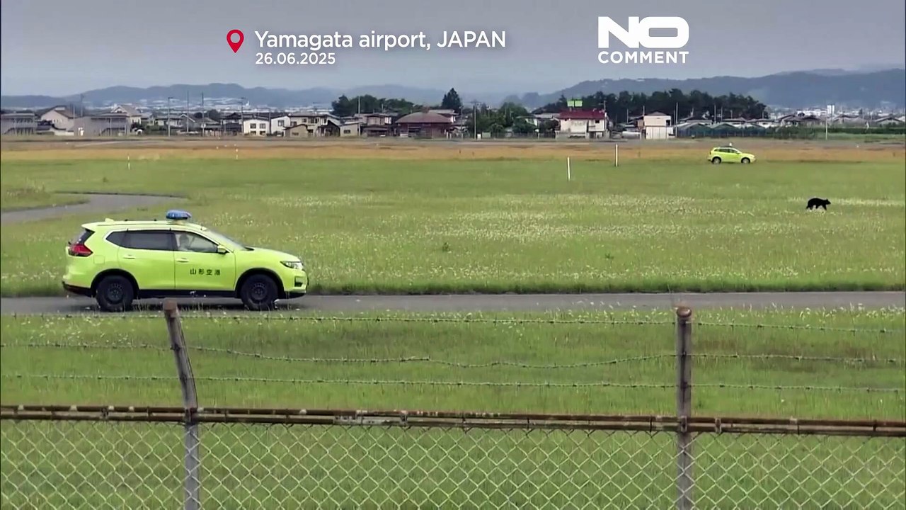 Urso interrompe voos no aeroporto de Yamagata e obriga ao encerramento da pista