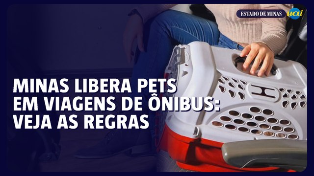 Minas libera viagem de pets em ônibus: veja regras