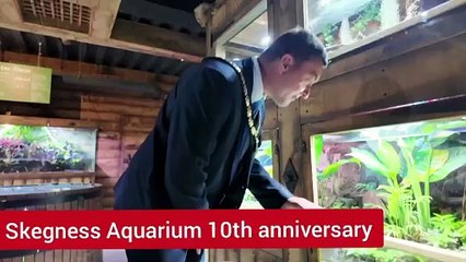 Celebrating 10 Years of Fun at Skegness Aquarium 🎉