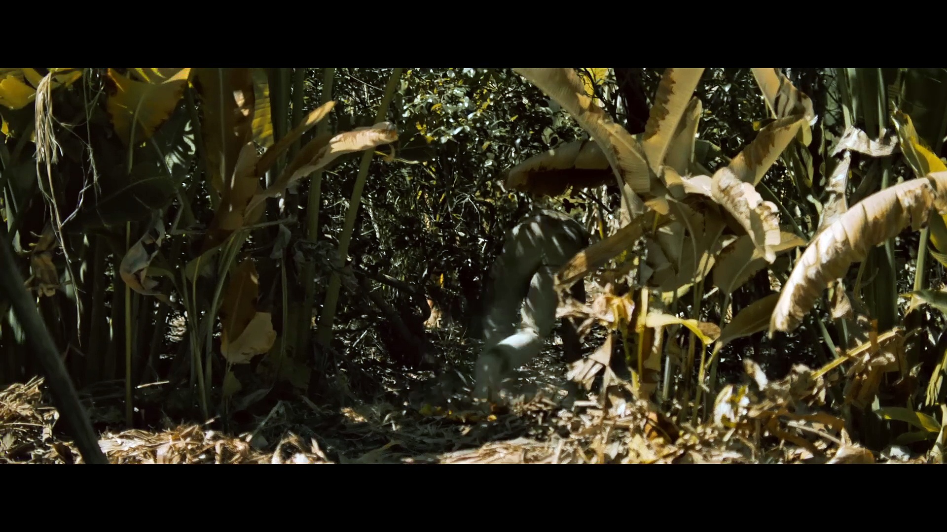 Eden Movie Teaser Trailer #1 (2025) starring Jude Law and Ana de Armas