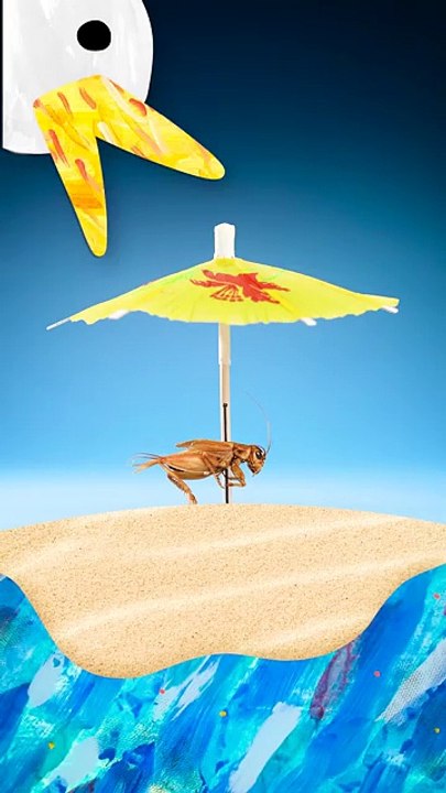 The World's Largest Cricket