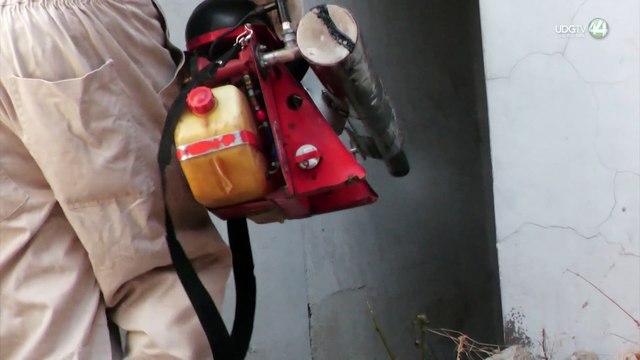 Dengue bajo control en Autlán y municipios aledaños, pero persiste el riesgo por serotipo agresivo