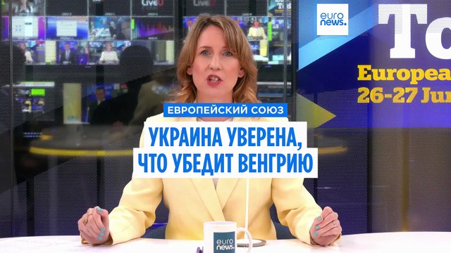 Посол Украины: «Мы убедим Венгрию»
