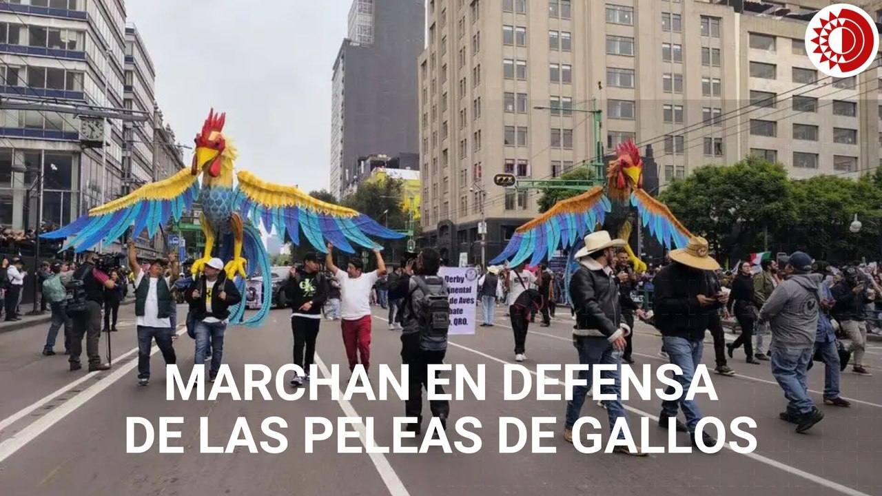 Marchan en CDMX en defensa de las peleas de gallos
