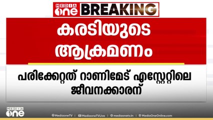 പാലക്കാട് നെല്ലിയാമ്പതിയിൽ കരടിയുടെ ആക്രമണത്തിൽ ഒരാൾക്ക് ഗുരുതര പരിക്ക്