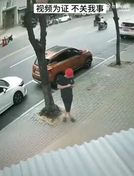 Promis, c'est pas ma faute si l'arbre est tombé