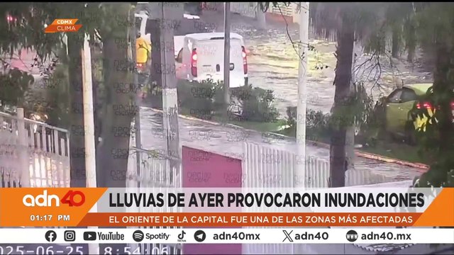 Así fue capturado “Dubái”, tigre que escapó en Salinas Victoria, Nuevo León