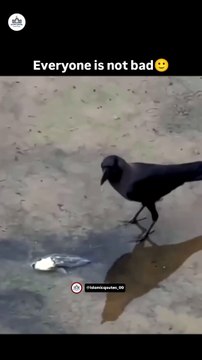 Life Lessons ❤️_ #allah #youtubeshorts #lifelessons #emotional #love #everyone #bad #humanity