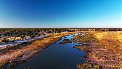 Discover Luxury Botswana Safaris